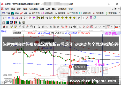 英超为何突然停摆专家深度解析背后成因与未来走势全面观察动向评